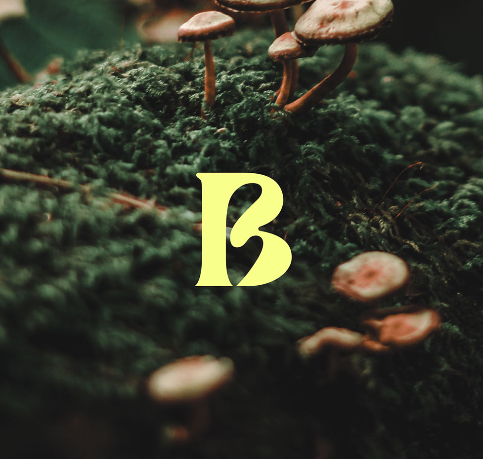 Bloomster