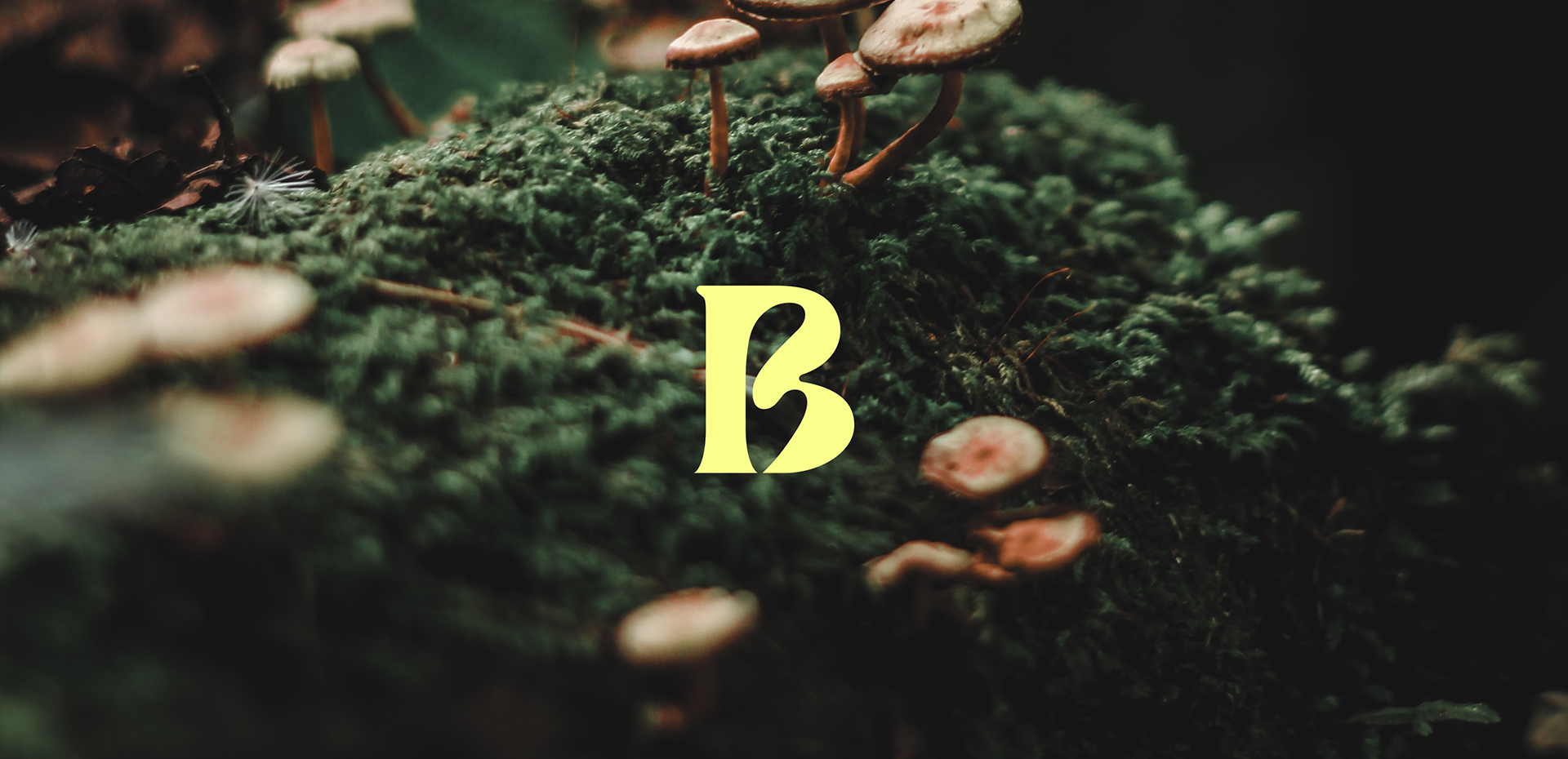Bloomster
